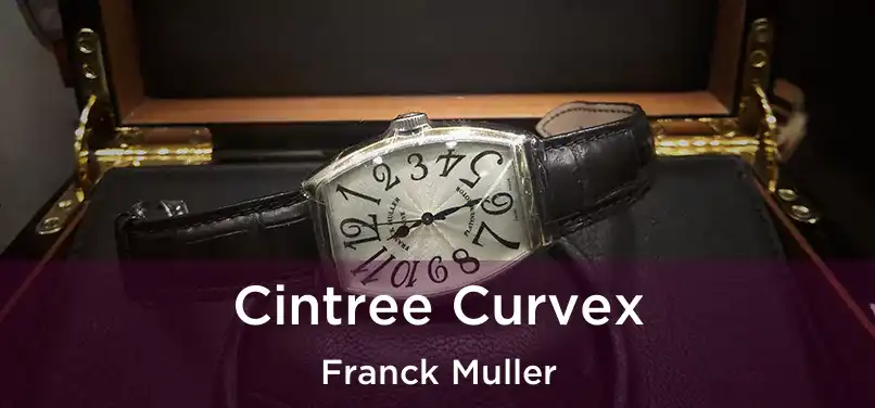 Cintree Curvex Franck Muller